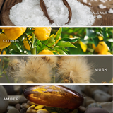 Salt and Sea Hanging Air Freshener - Home Decor & Gifts