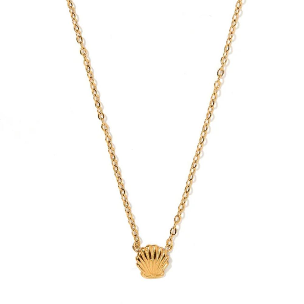 Marina Shell Necklace
