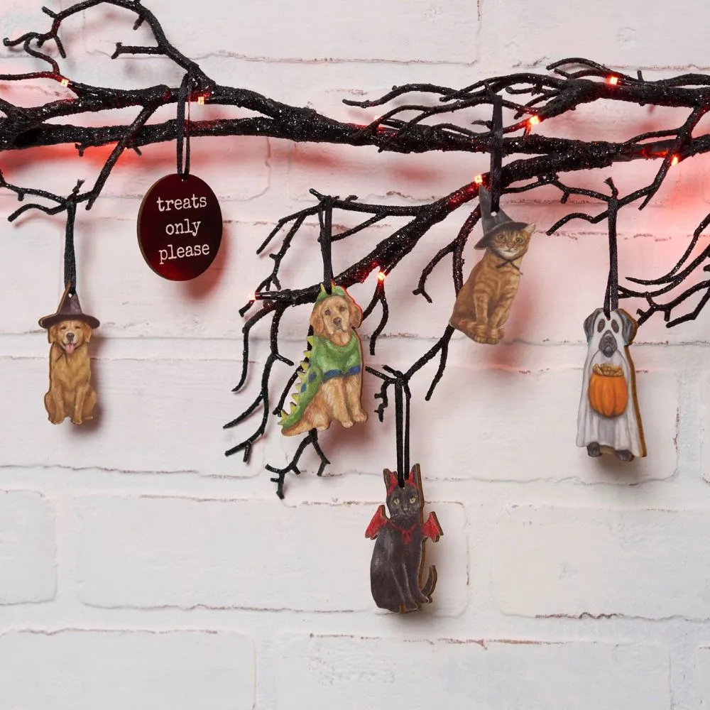 Costumed Pet Mini Ornament Set