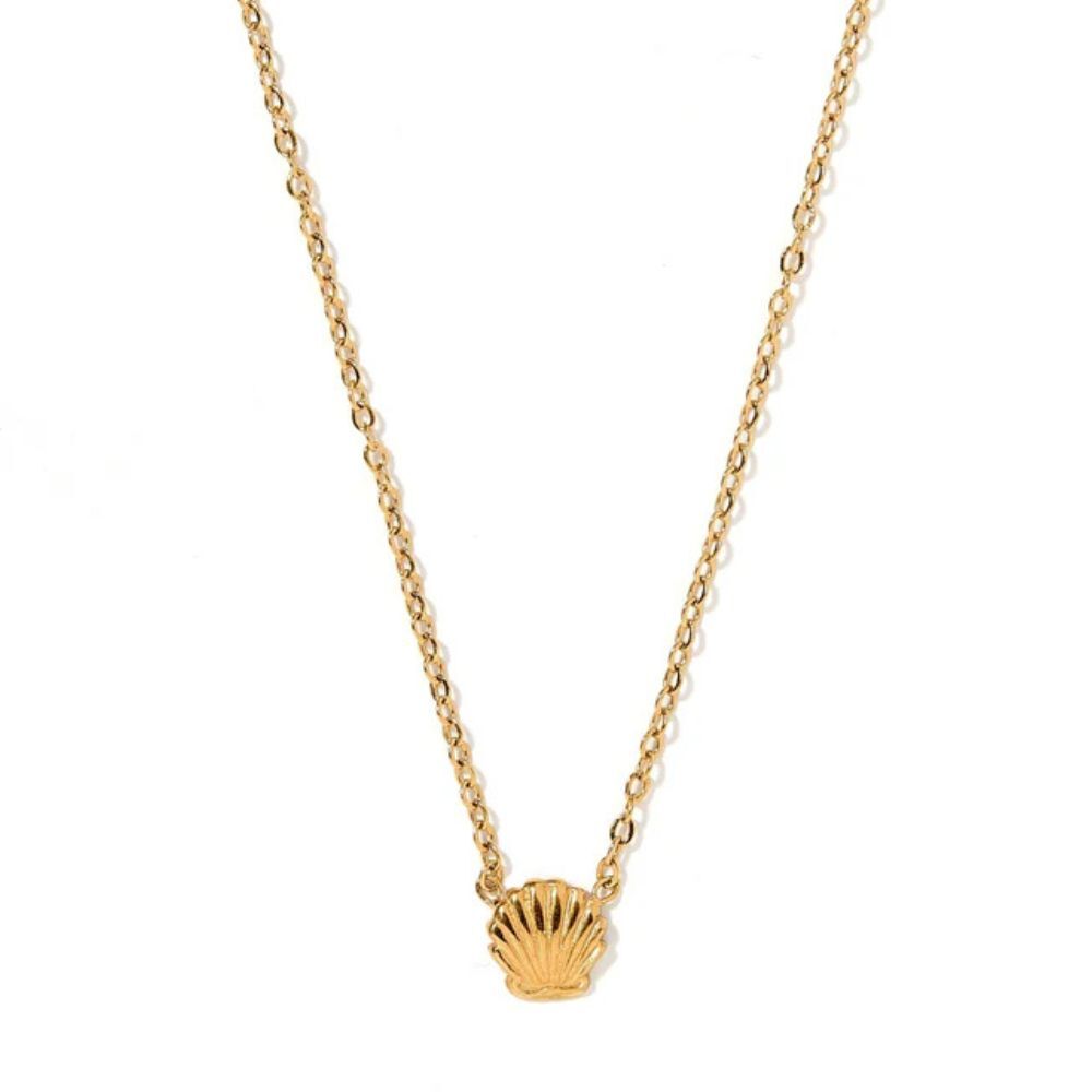 Marina Shell Necklace