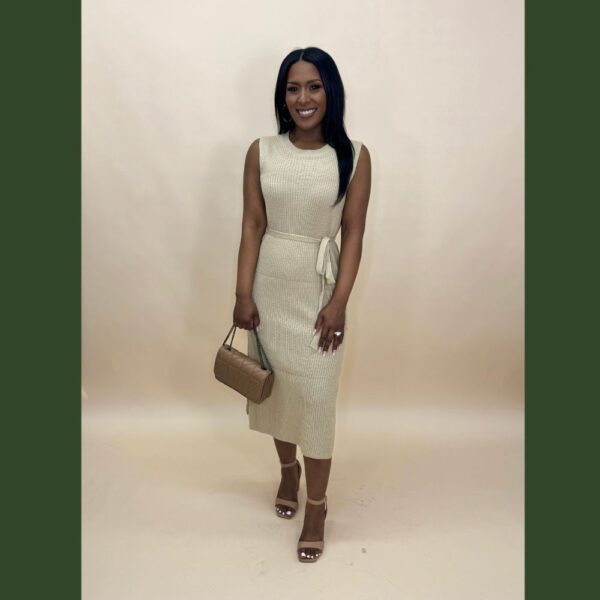 Crew Neck Sleeveless Knit Maxi Dress - Image 4
